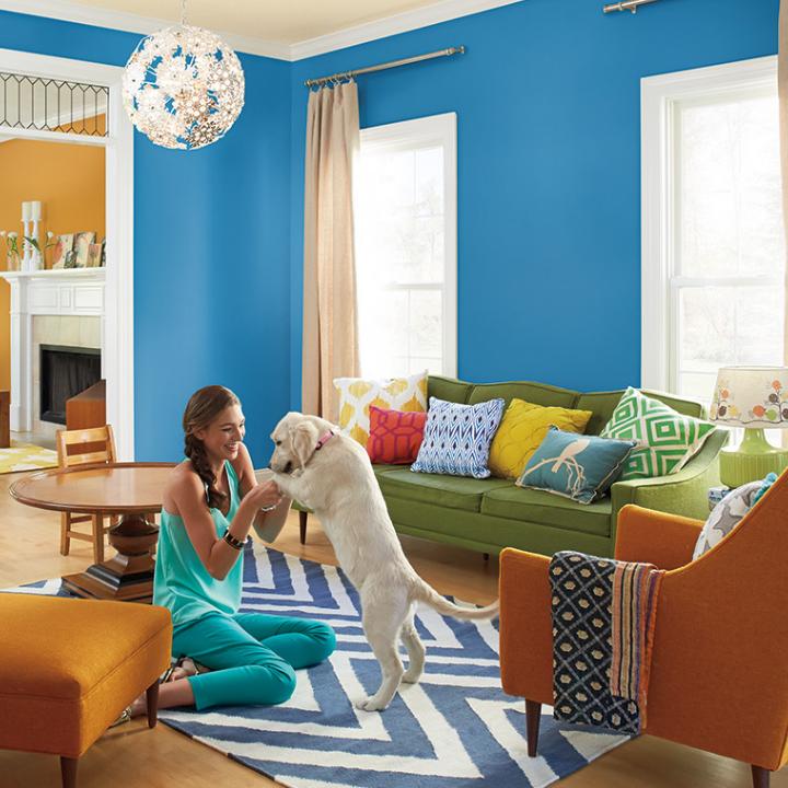 A living room adorned with retro modern furniture. Walls painted Ship Shape Blue.