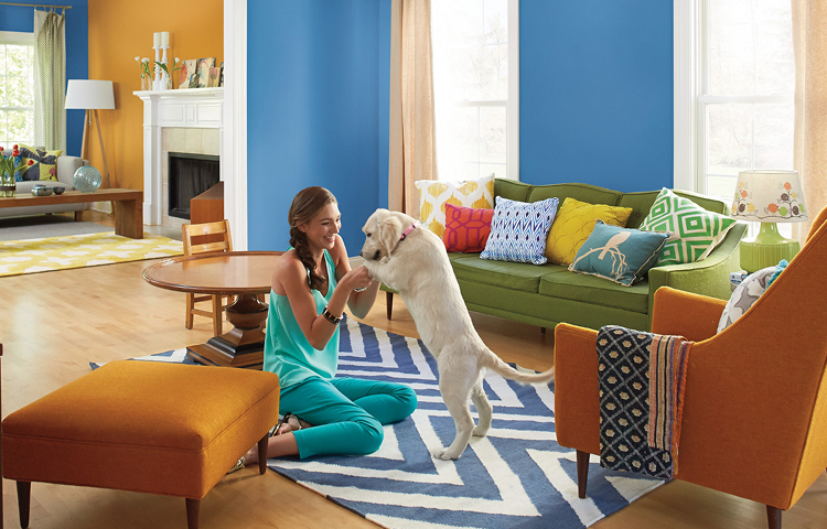 A young woman sits on a living room floor, playing happily with her white lab puppy, wall painted deep ship shade blue.