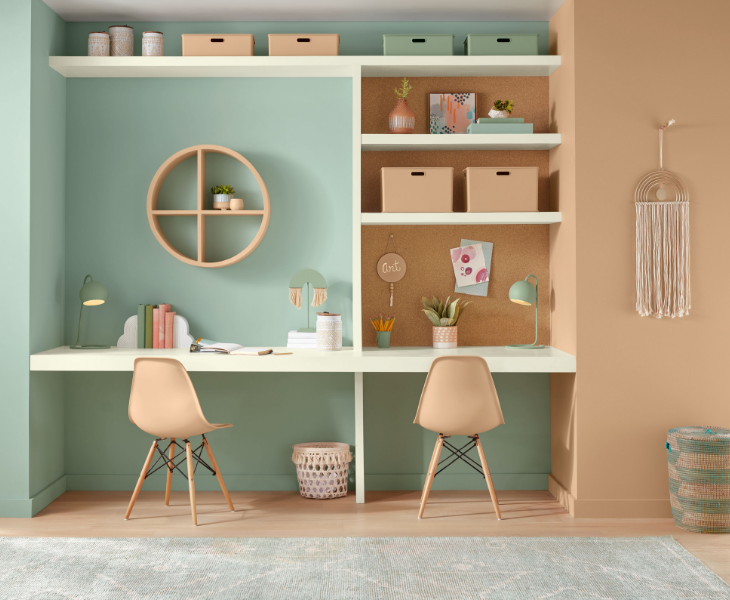 desk and chairs with bookshelves