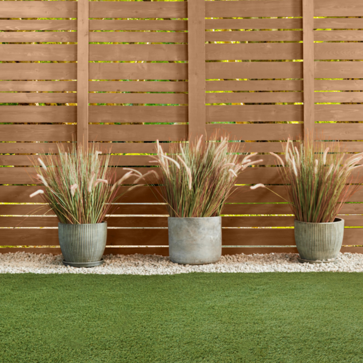 fence outside behind 3 plants and grass