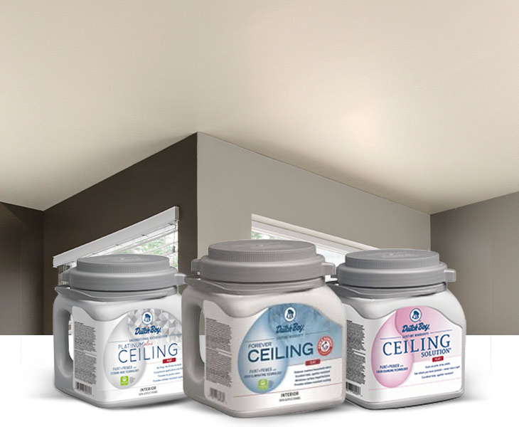 Ceiling of home. One-gallon cans of Platinum Plus Ceiling Flat, Forever Ceiling Flat, Dura Clean Ceiling Solution Flat.