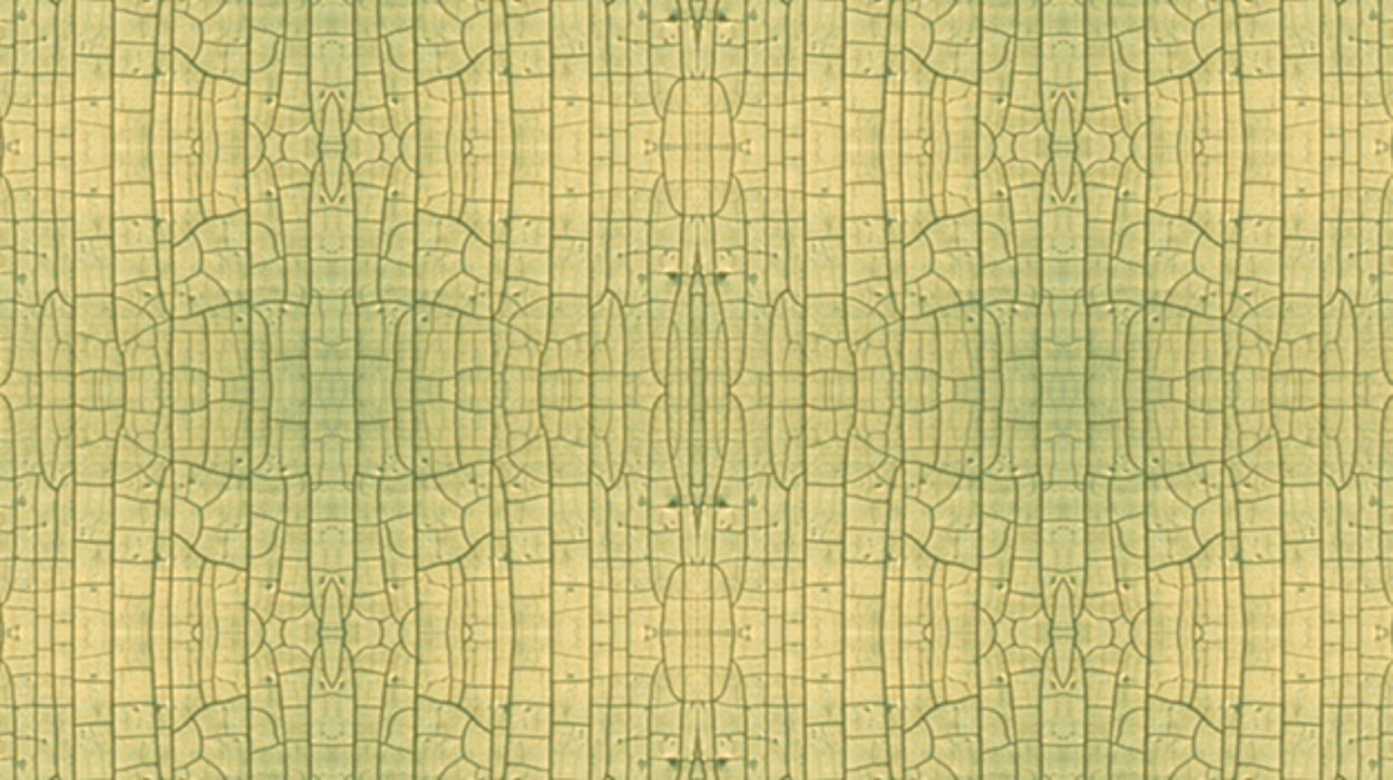 A wall painted yellow long ago is showing signs of alligatoring.