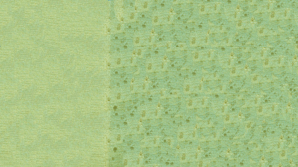 A wall painted light green long ago is showing signs of mildew.